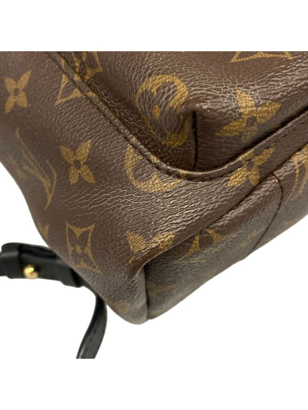 Louis Vuitton Sac Monogram Palm Springs Backpack PM - Picture 6 of 15